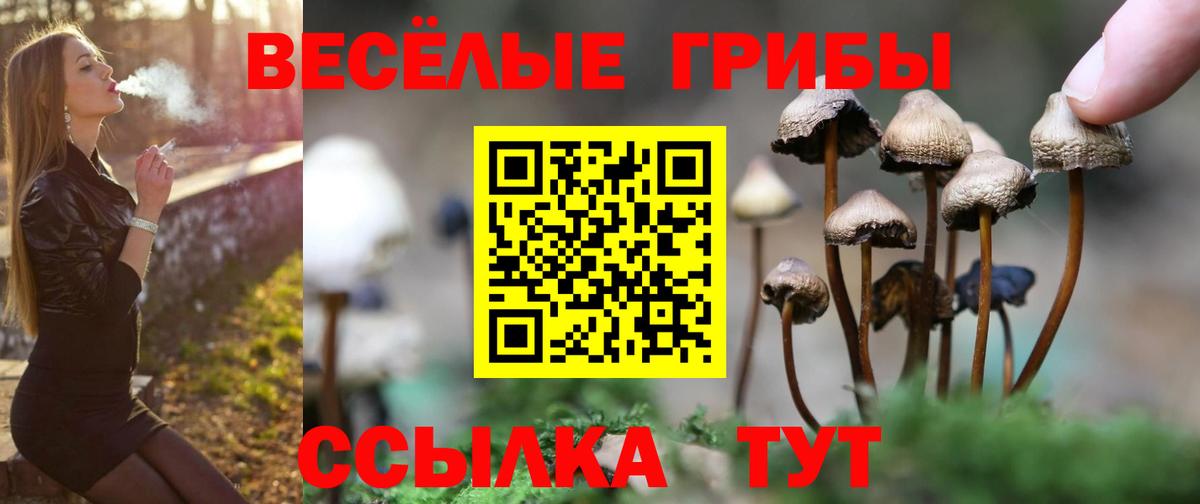 Псилоцибиновые грибы GOLDEN TEACHER Ачхой-Мартан